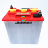 温州-台州-宁海3DG210观光车蓄电池6V210AH游览巡逻车电瓶